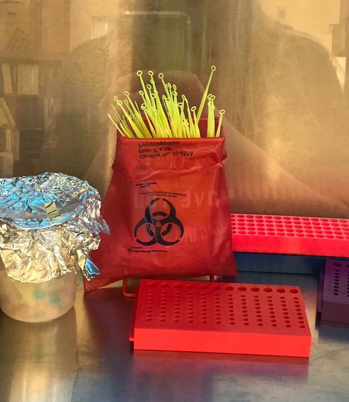 Biohazard bag with lab tools and pipettes on a lab bench, illustrating caution for forbidden foods and safety risks.