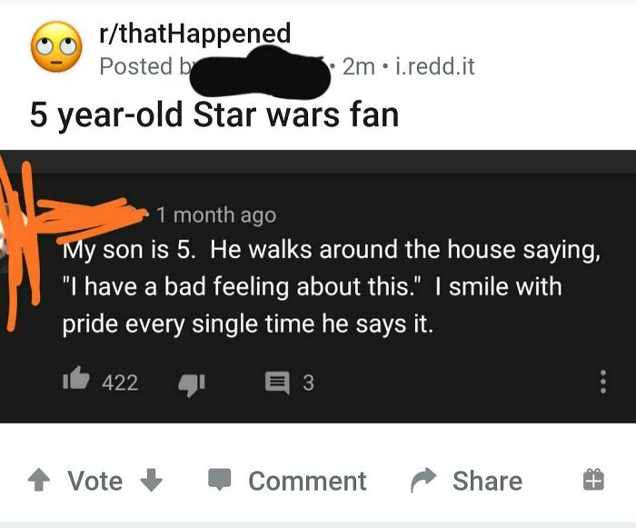Reddit post from thatHappened about a 5-year-old Star Wars fan saying a famous line with pride.