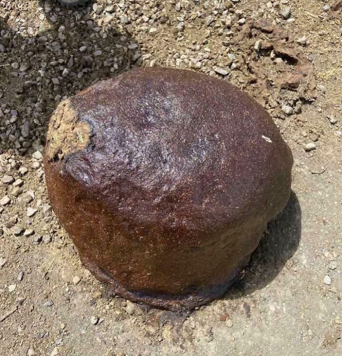 Round forbidden food with dark rough surface sitting on gravel ground, illustrating forbidden foods to avoid eating.