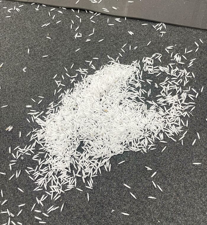 Scattered grains of white rice spilled on a dark surface, illustrating a common forbidden food to avoid eating.
