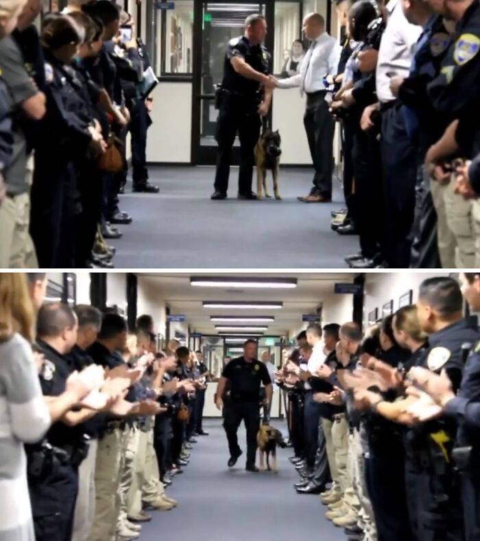 Police officers and staff applauding a departing K9 handler walking through a hallway in an employee farewell moment.