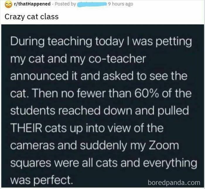 Online group call exposing people who question every story and never believe anything during a Zoom meeting.
