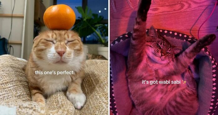 40 Beautiful Photos Showing People Celebrating What Makes Them Unique