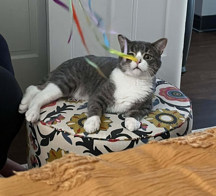 Well, We Signed The Adoption Papers On The Saddest Face To Ever Live!