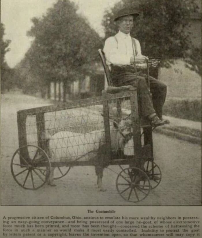 Man riding a homemade goat-powered vehicle in a black and white photo showing strange facts of our world