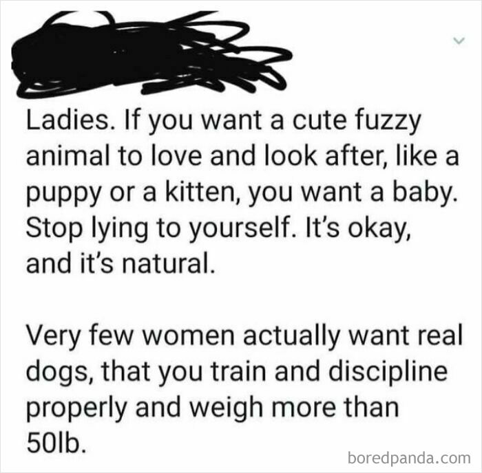 Text post discussing women’s preference for babies over real dogs, featured in cringe-worthy takes on women.