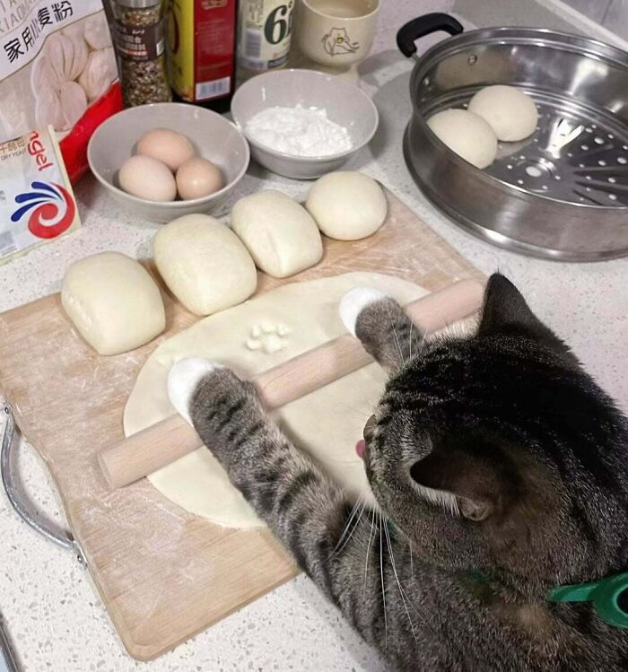 Cat playfully using a rolling pin to flatten dough on a kitchen counter with buns and cooking ingredients nearby