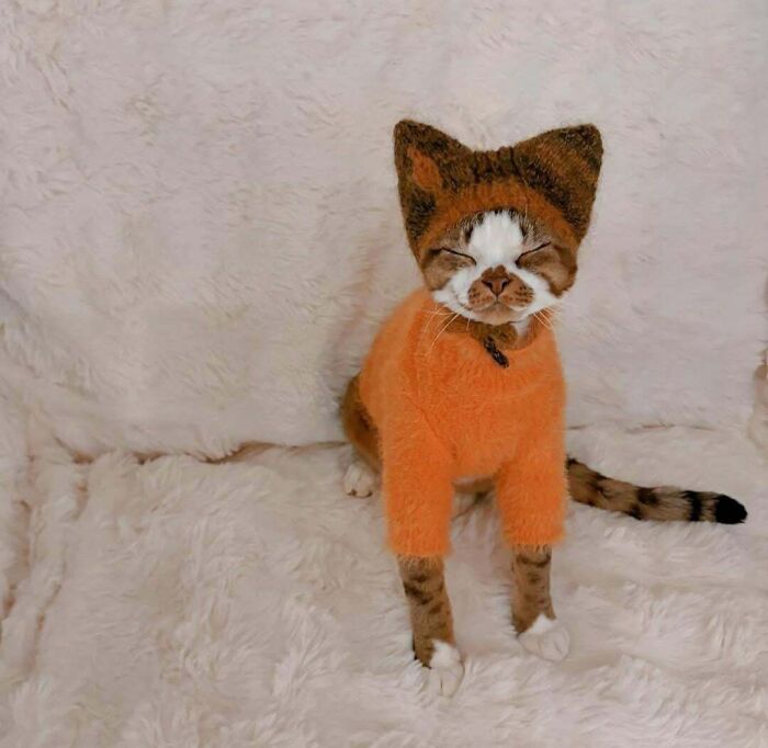 Cat wearing a cozy orange sweater and knitted cat ear hat sitting on a fluffy white surface, adorable cat image.