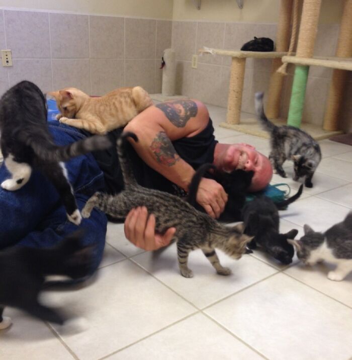 Hombre divertido acostado rodeado de gatos, mostrando momentos graciosos de hombres que nunca maduraron.