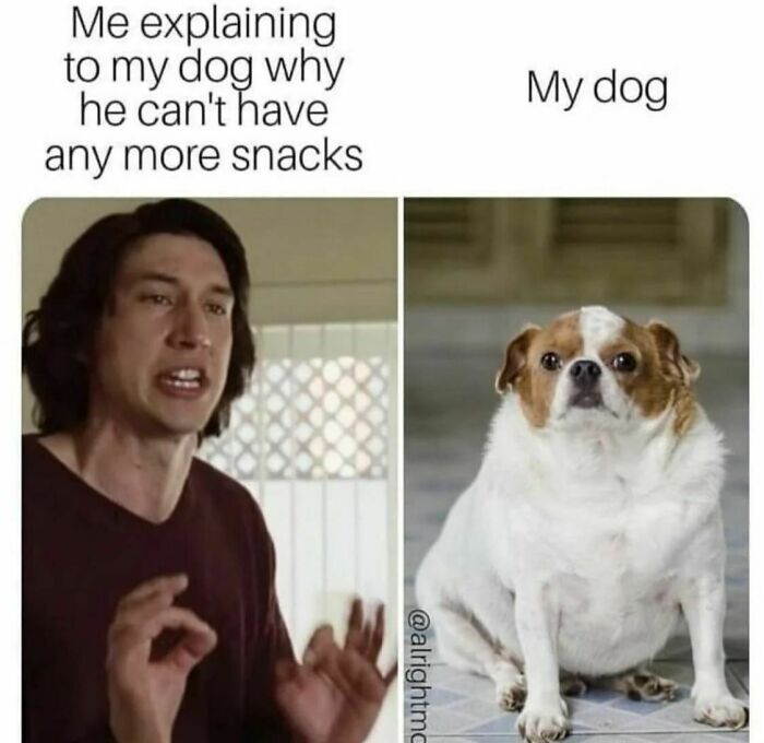 Man explaining to his dog why he can't have more snacks paired with a funny dog meme for dog meme laughs.