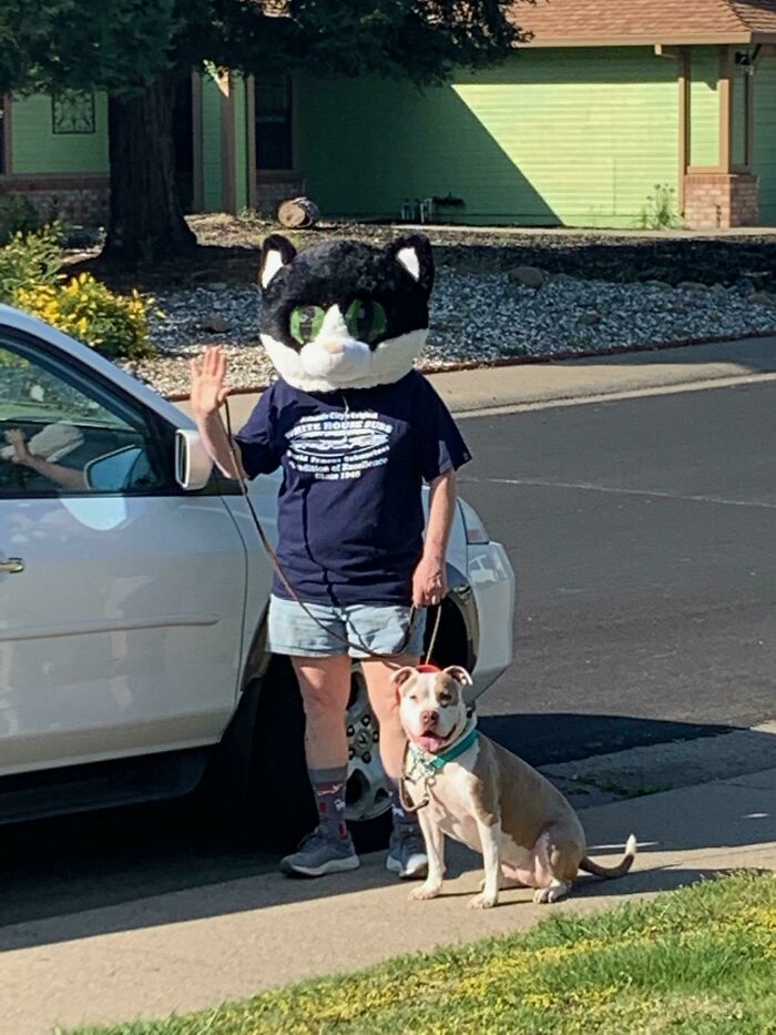 Man wearing a large cat head costume waving outside near a white car with a dog on a leash proving men never grow up.