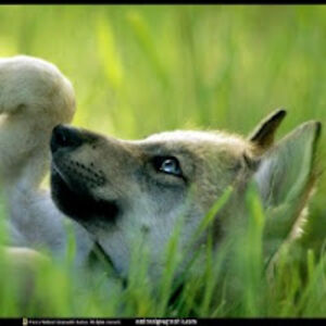 katherinealexander_2 avatar