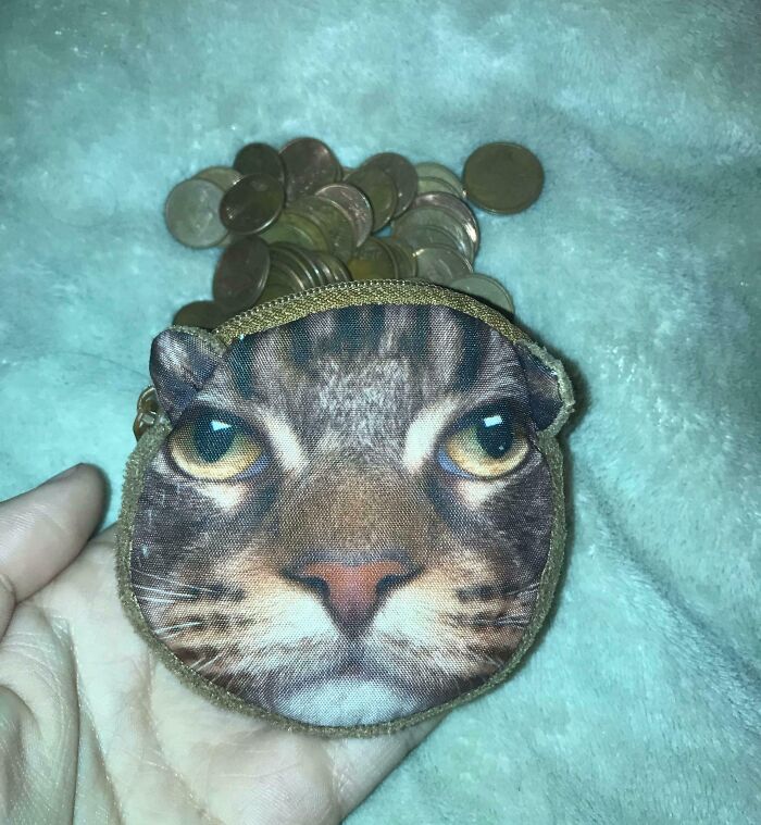 Monedero con diseño de gato y monedas, un momento divertido que demuestra que los hombres nunca dejaron de ser niños.