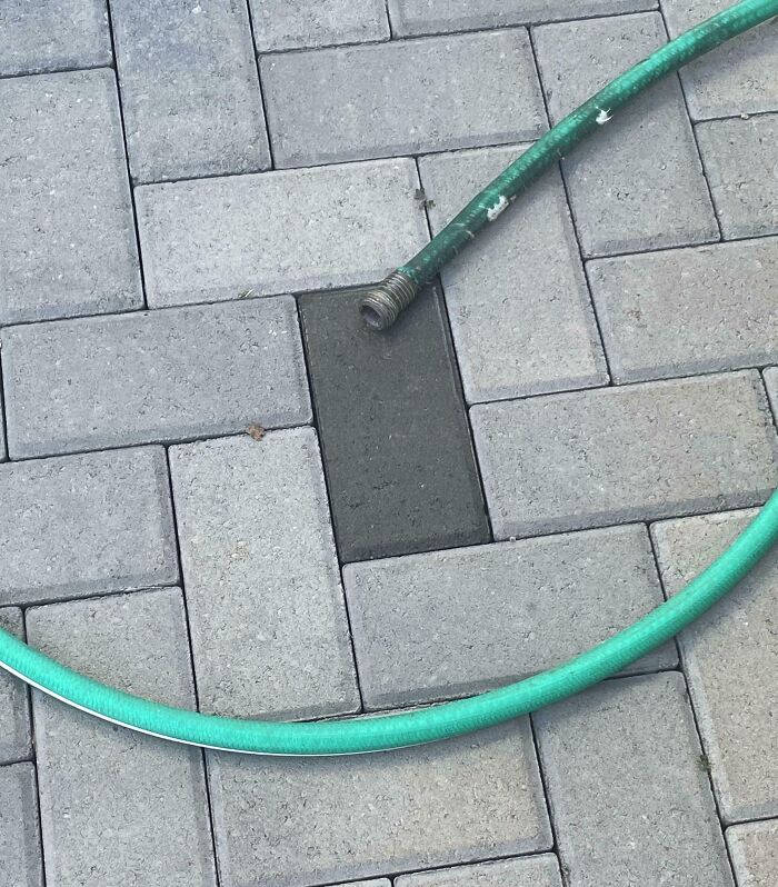 Hose laying across perfectly aligned paving stones with one darker brick fitting exactly into the pattern.