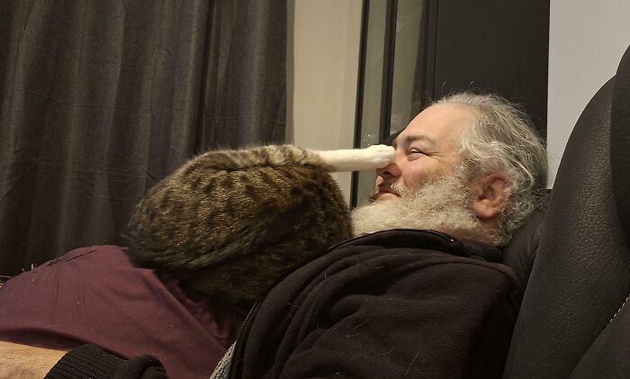 A cat resting its paw on a man's face, illustrating a kitty has question moment in a cozy indoor setting.