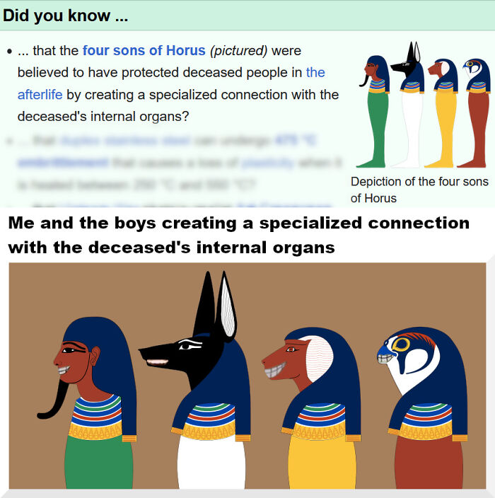 Ancient Egypt memes showing the four sons of Horus with humorous captions about protecting internal organs.