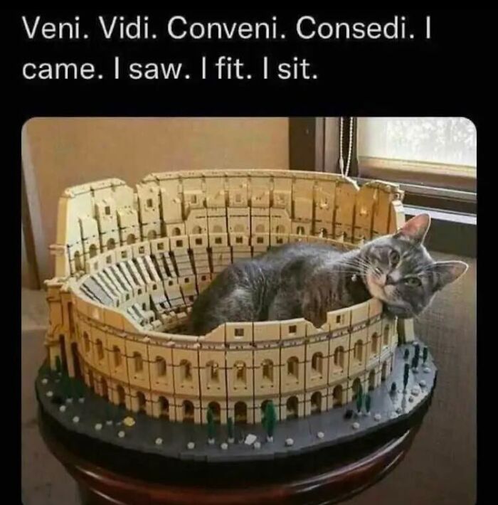 Cat comfortably lounging inside a model Colosseum, showcasing wholesome and ridiculously funny animal moments.