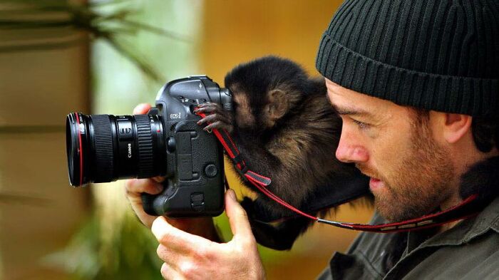 Monkey interacting with a camera held by a man, showcasing wholesome and funny animal moments.