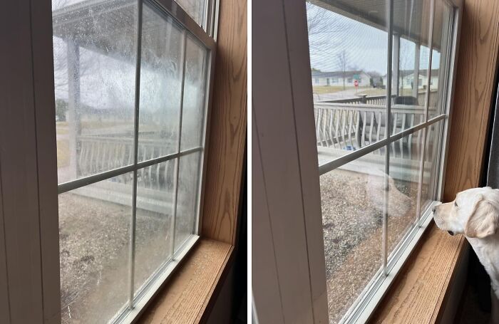 Side-by-side photos showing a window before and after cleaning with clear views outside, highlighting tech cleaning tools.