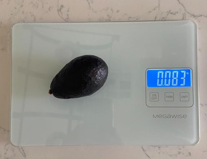 Black avocado placed on a digital kitchen scale showing weight, highlighting tech deals for Cyber Monday weekend sales.
