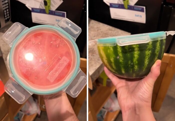Half watermelon perfectly sealed with a plastic container lid showing precise alignment and fit.
