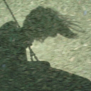 barbara_58 avatar