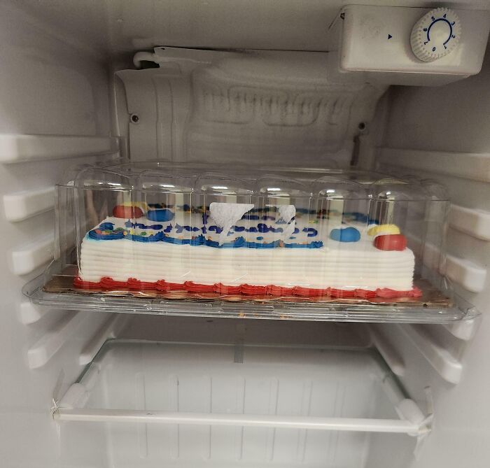 Cake perfectly aligned inside a fridge shelf, showcasing one of the 100 times things aligned so perfectly moments.