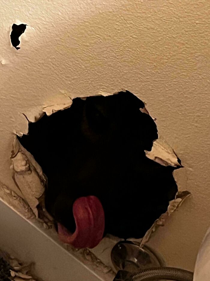Hole in wall with a dark opening and a distinct tongue visible, creating a confusing photo your brain needs a moment to catch up with.