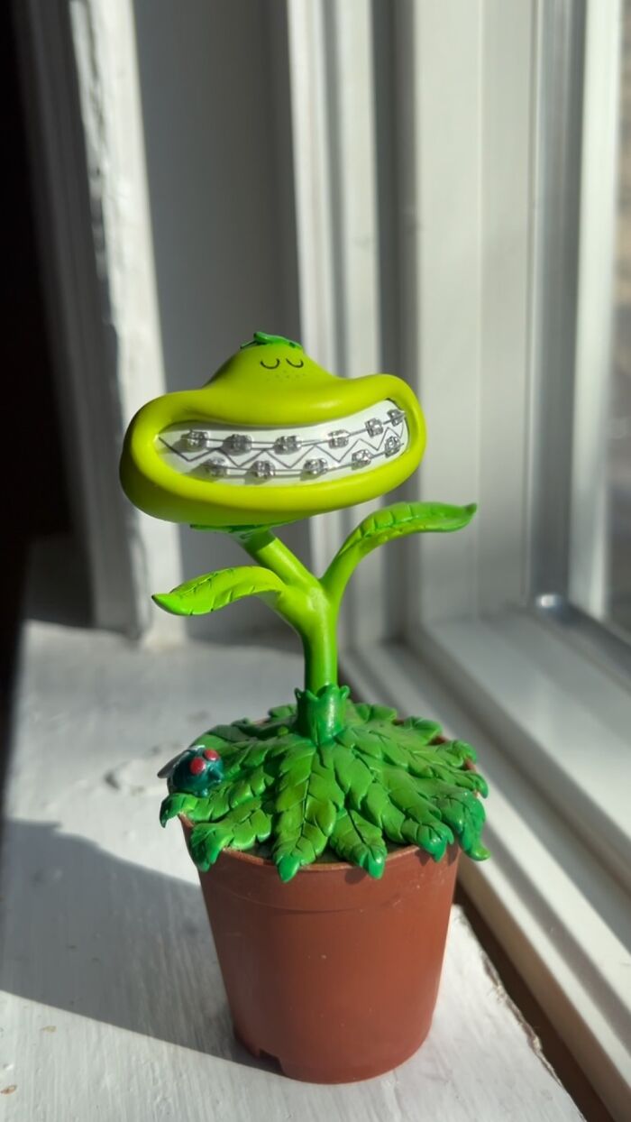 Quirky sculpture of a smiling green plant with braces in a brown pot, bursting with personality by the window.