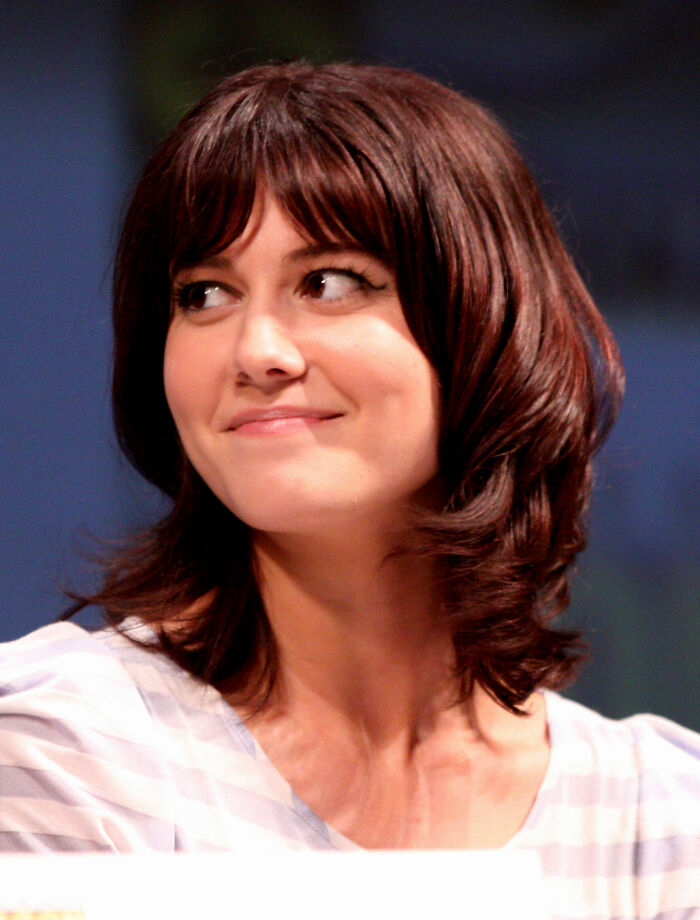 Mary Elizabeth Winstead with shoulder-length dark hair, smiling softly and looking to the side at an event.