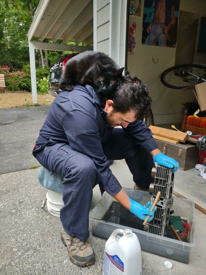 Man working on engine parts with a black cat perched on his shoulder, showcasing cats found under the hood in a garage setting.