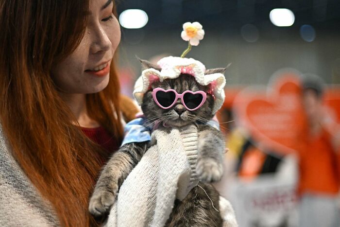 Woman holding a cat wearing heart-shaped sunglasses and a flower hat, capturing the beauty and diversity of humans.
