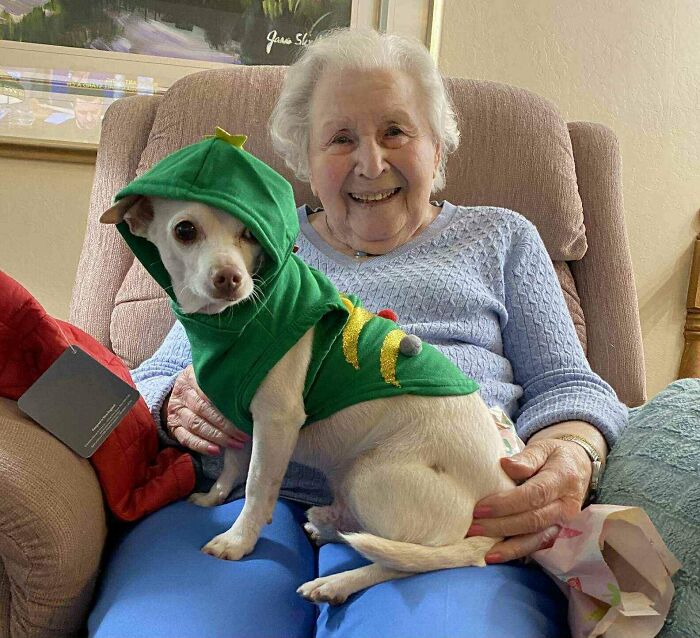 Elderly woman smiling with a small dog dressed in a green hoodie, showcasing adorable recently adopted pets.