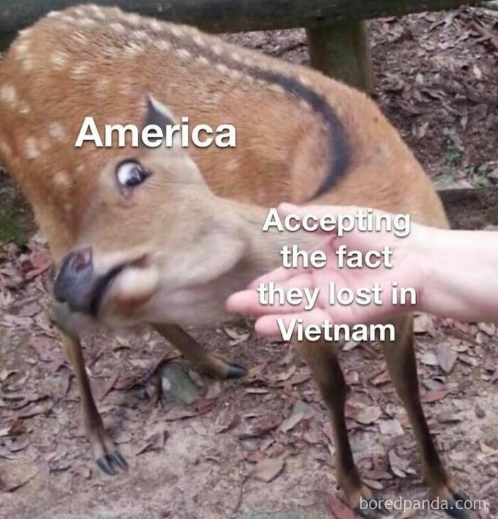 Hilarious history meme showing a deer labeled America reacting nervously to accepting they lost in Vietnam.