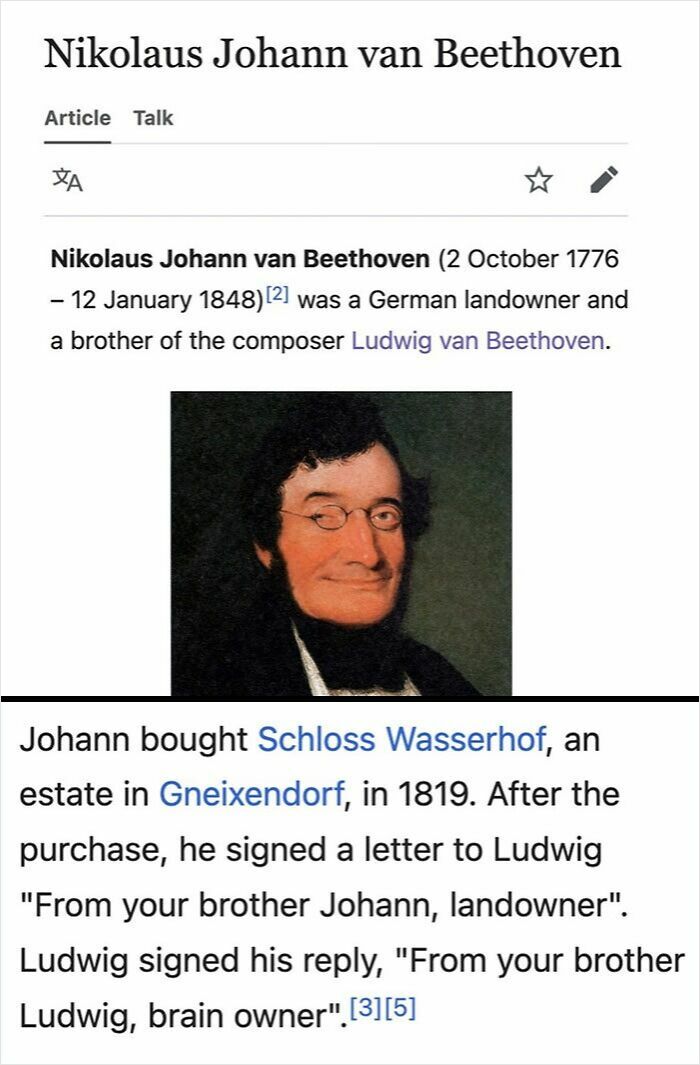 Wikipedia page showing Nikolaus Johann van Beethoven, funny brother note signed "brain owner," a gem found on Wikipedia.