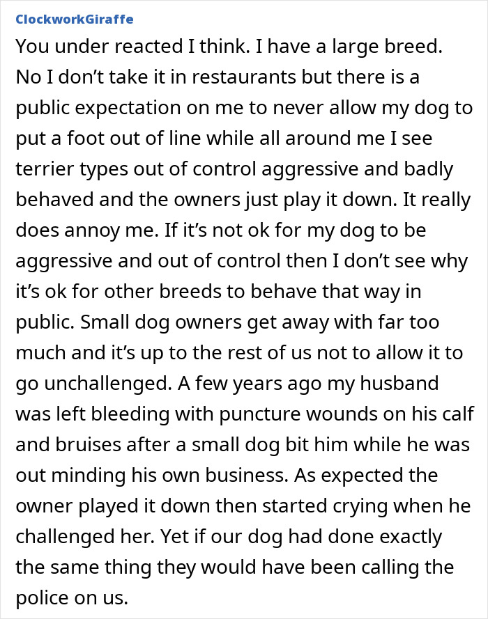 Comment discussing negligent dog owners and aggressive dogs biting someone while others downplay the behavior. Comment discussing negligent dog owners and aggressive dogs biting someone while others downplay the behavior.
