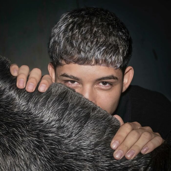 Young man with gray and black hair mimics pet’s fur color and texture, showcasing pets and their humans look alike.