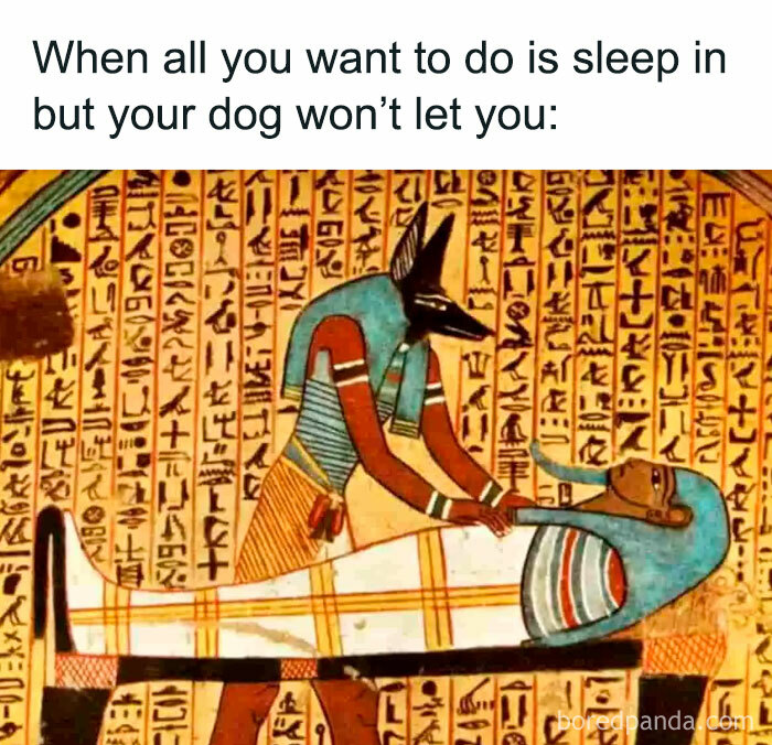 Ancient Egypt meme showing Anubis attending a mummy with hieroglyphics in the background humorously about sleep and dogs.