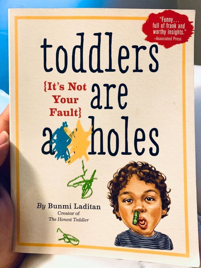  Toddlers Are A**holes: It's Not Your Fault The Parenting Guide That Feels Less Like A Book And More Like A Much-Needed Support Group Meeting