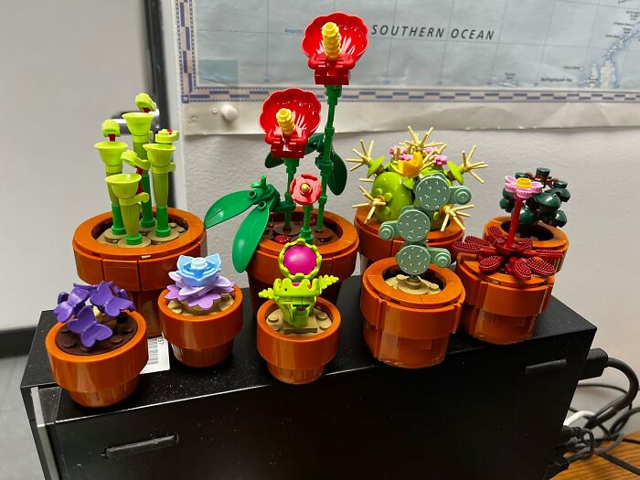  A Gorgeous Bouquet That Actually Thrives On Neglect Can Be Built With LEGO Botanicals 