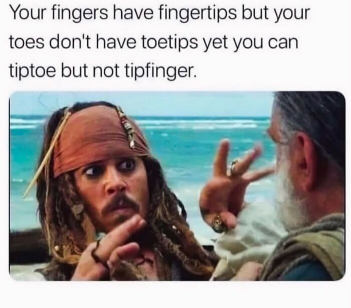 Humorous meme about fingertips and toes with a confused pirate character by the ocean, perfect for random meme laughs.