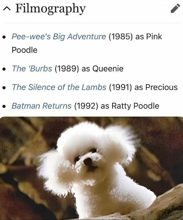 Filmography list of a white poodle dog with roles in movies, featured in funny and cute animal memes for positivity.