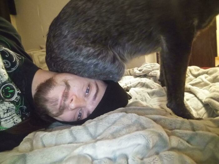 Man lying on bed with dog standing on his face, showing how pets take away personal space in funny moments.
