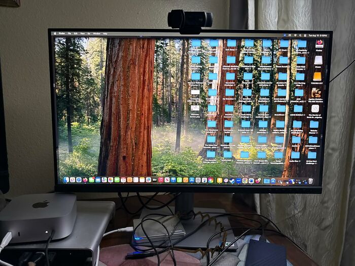 Computer monitor displaying a forest wallpaper with many desktop icons, representing main character splurges of Black Friday week.