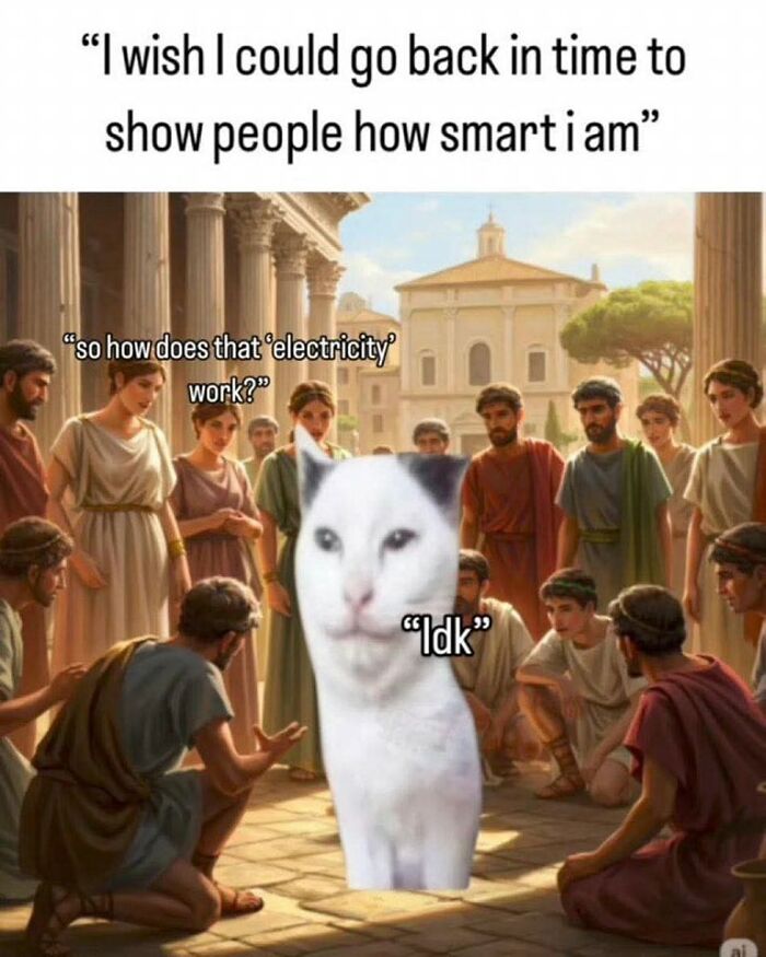 Hilarious educational memes featuring a confused cat surrounded by ancient people asking about electricity.