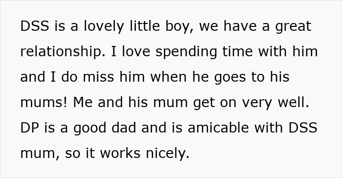 Text about parenting, relationship dynamics, and an ungrateful husband support in co-parenting and family bonds.