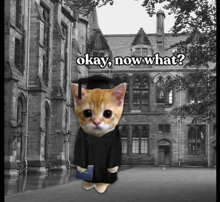 Cute kitten in graduation gown and cap holding a book outside an old school building with hilarious-educational-memes text.