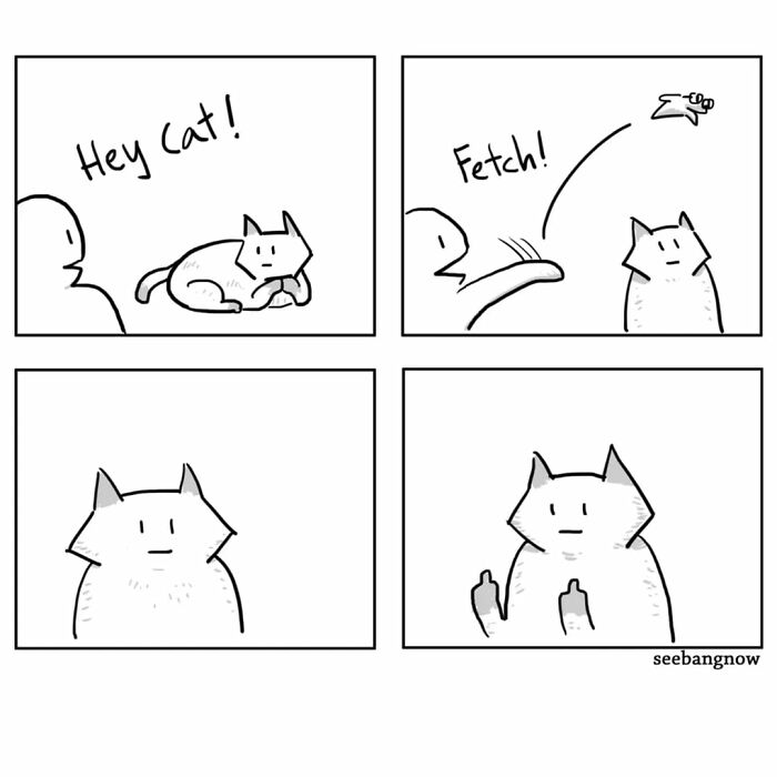 Comic panels of an honest, dramatic, and absolutely unbothered cat showing its attitude toward fetch.