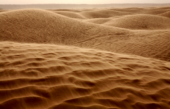 Expansive desert sand dunes under soft sunlight, perfect setting for the best scary games to play with friends IRL.