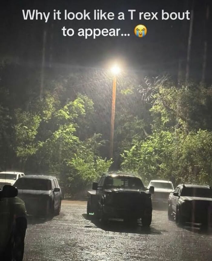 Nighttime photo of a parking lot with rain and a streetlight, evoking a dinosaur-like shape in the scene for pics that go hard.